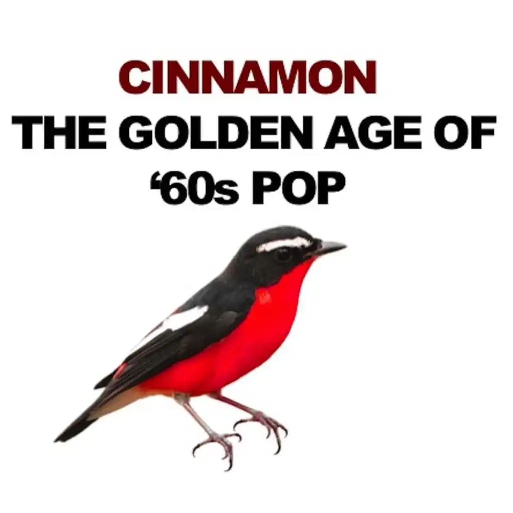 Cinnamon: The Golden Age of '60s Pop