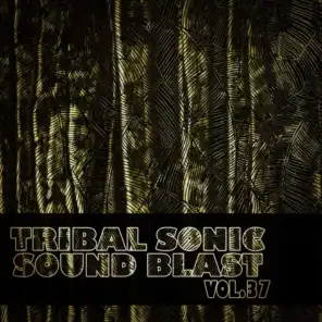 Tribal Sonic Soundblast,Vol.37