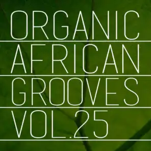 Organic African Grooves, Vol.25