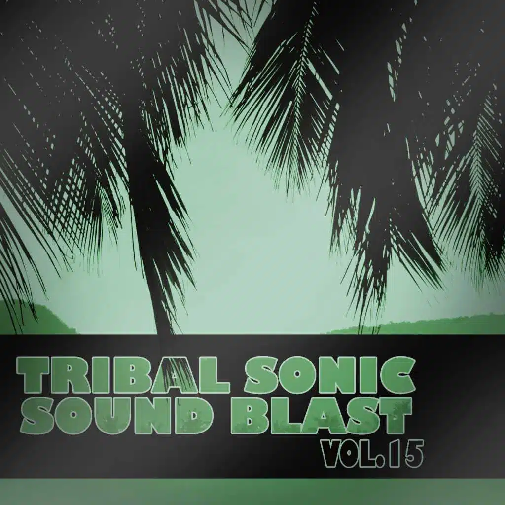 Tribal Sonic Soundblast,Vol.15