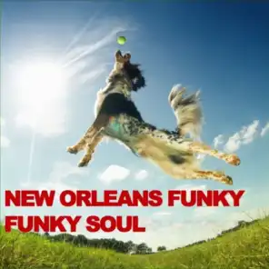 New Orleans Funky Funky Soul