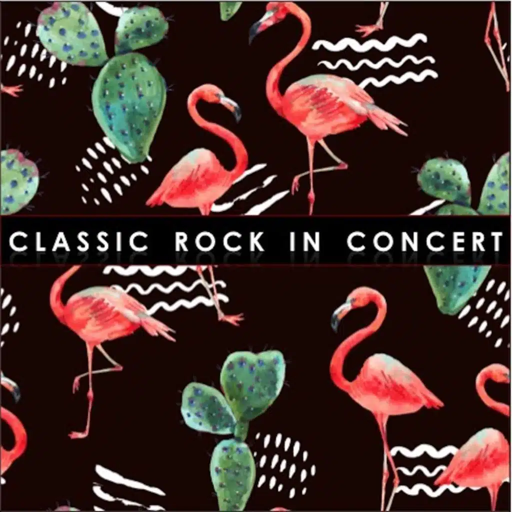 Classic Rock in Concert