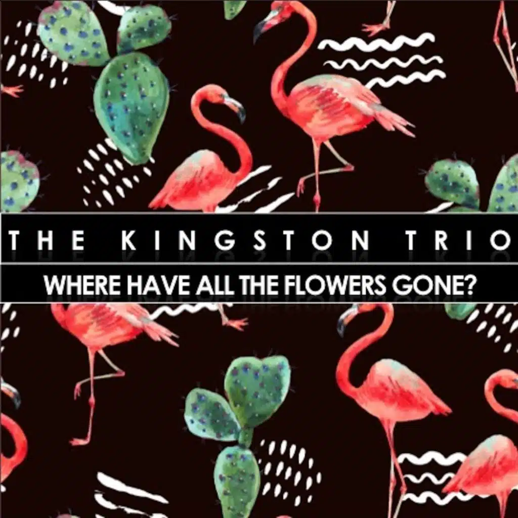 Goodnight Irene (Live)