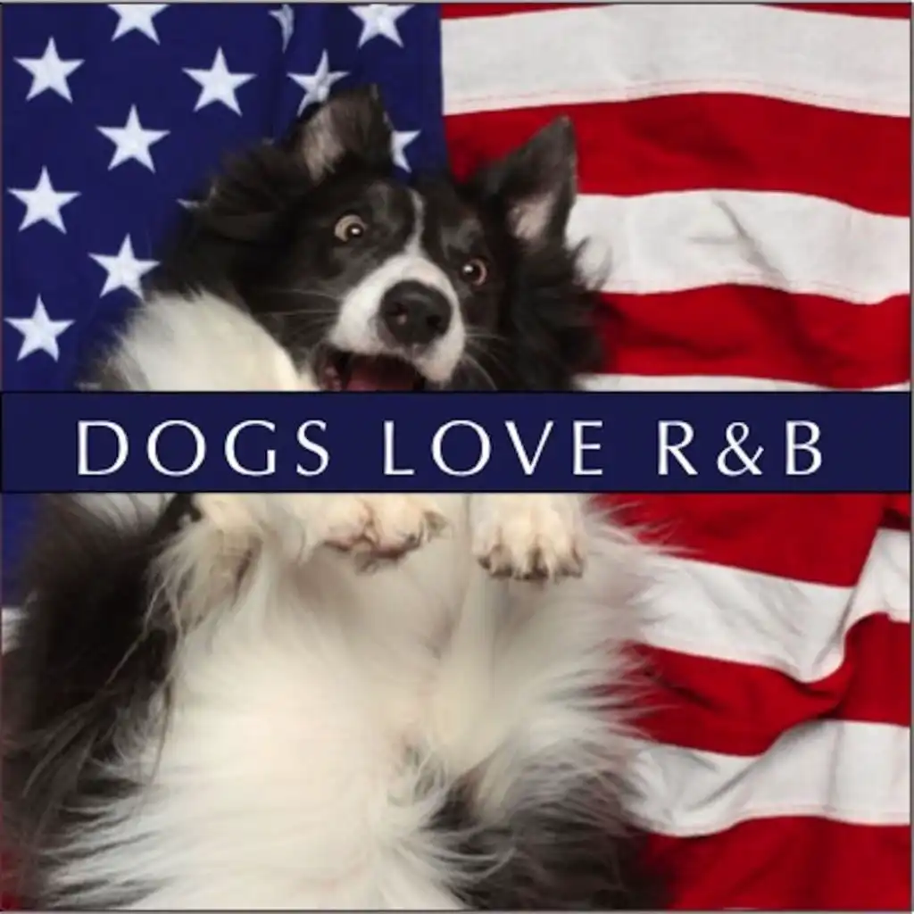 Dogs Love R&B