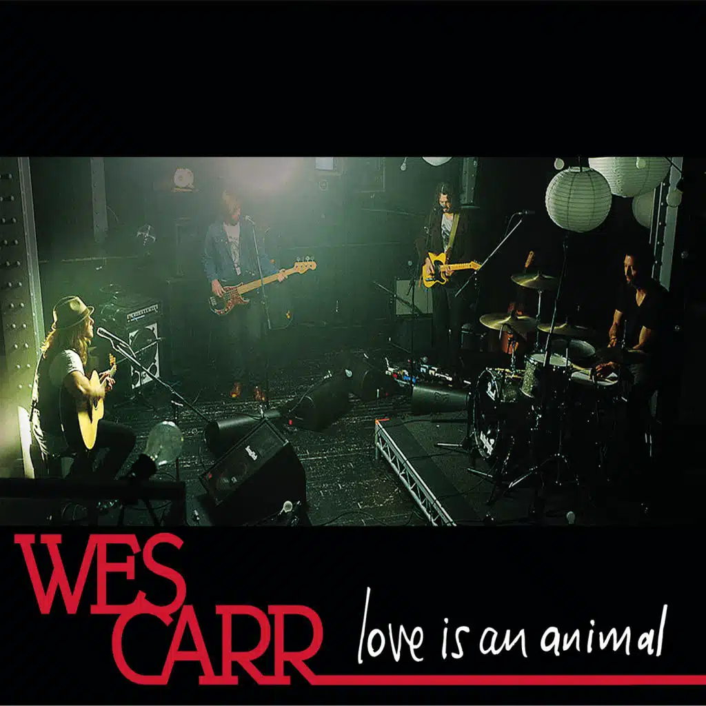 Love Is An Animal (Live)