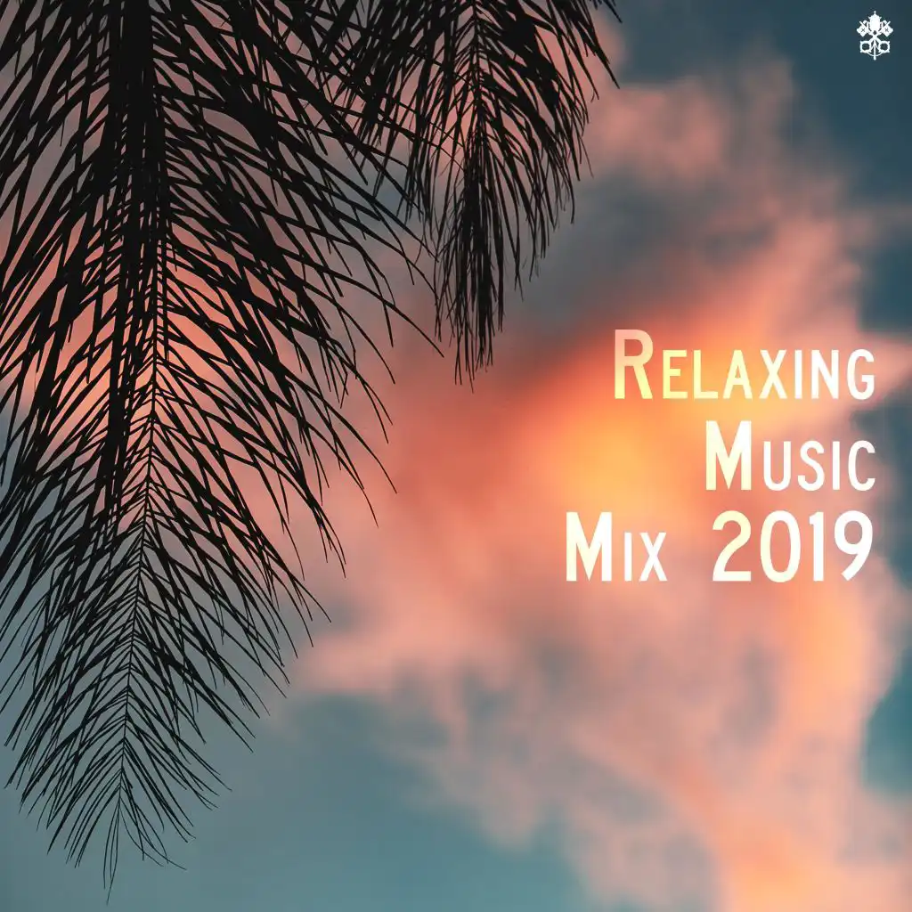 Relaxing Music Mix 2019