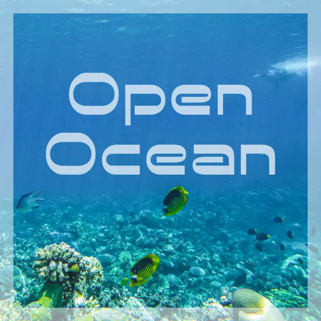 Open Ocean