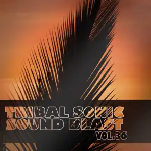 Tribal Sonic Soundblast,Vol.36