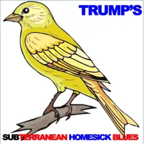 Trump's Subterranean Homesick Blues