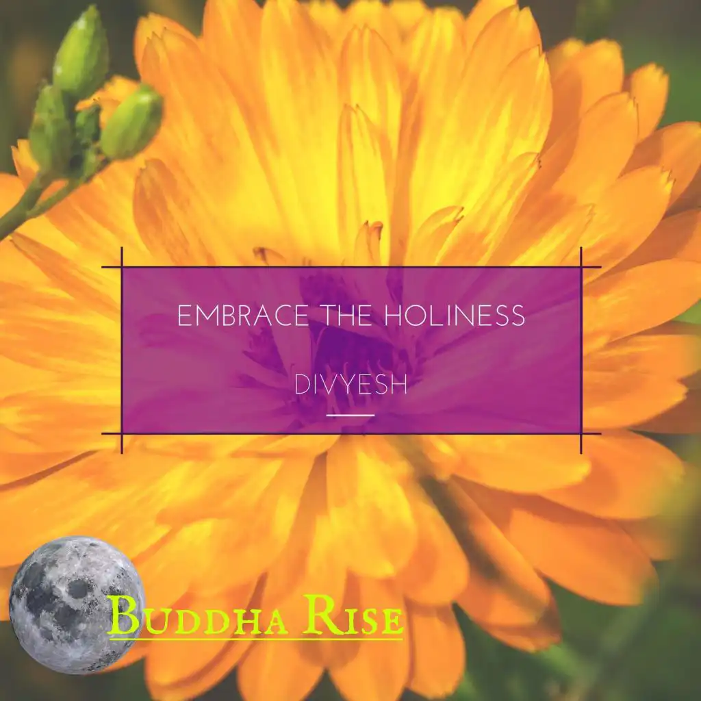 Embrace The Holiness