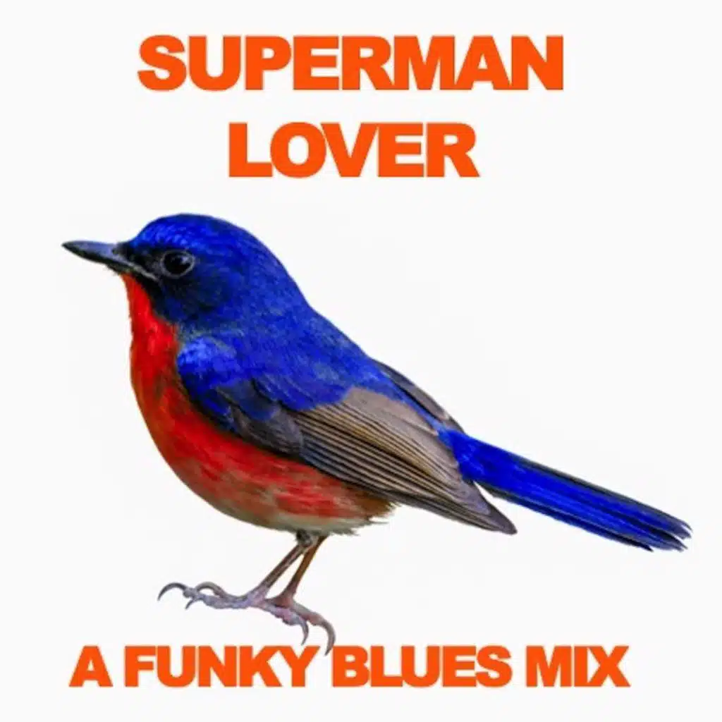 Superman Lover: A Funky Blues Mix