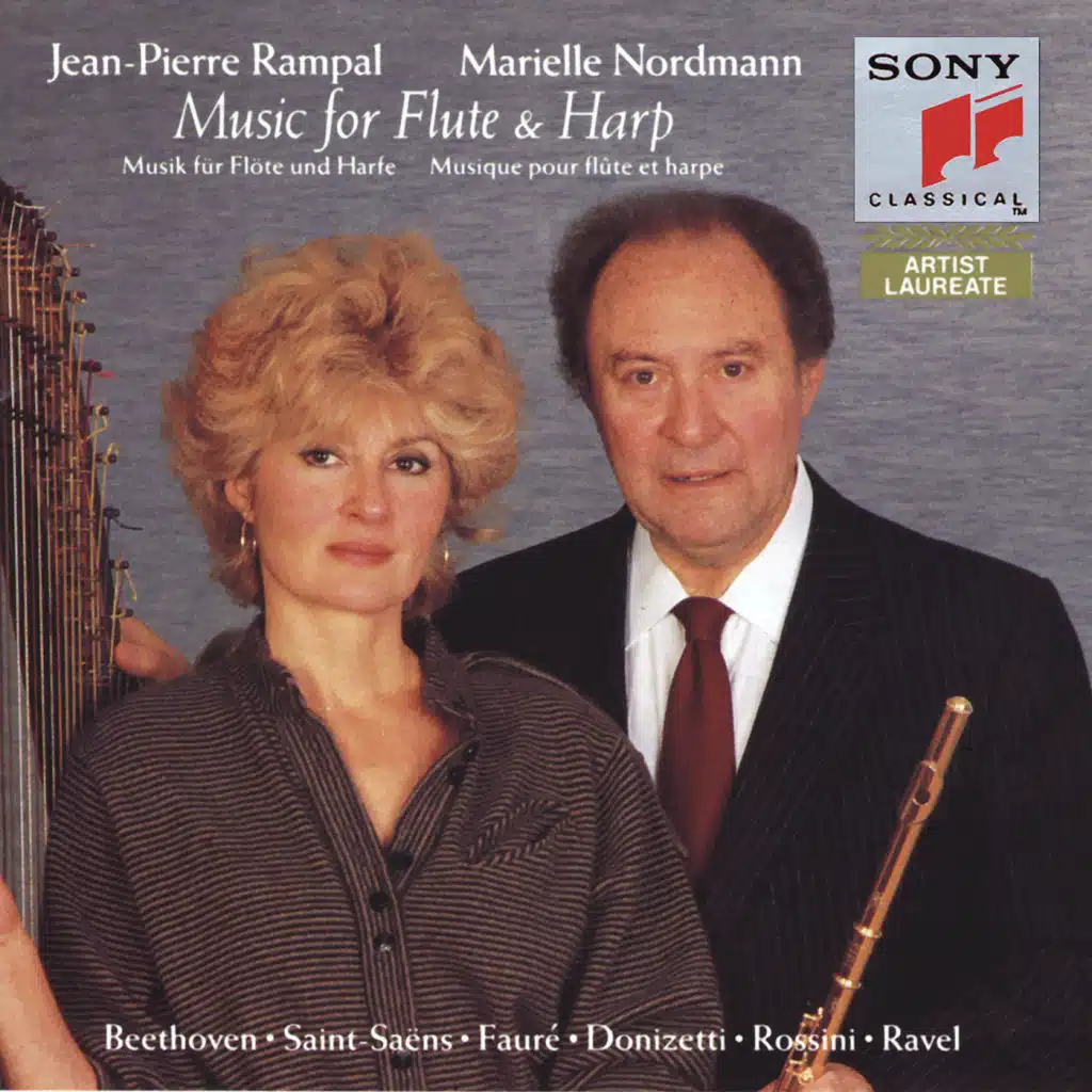Duo in E-Flat Major, Op. 30: II. Rondo. Allegro