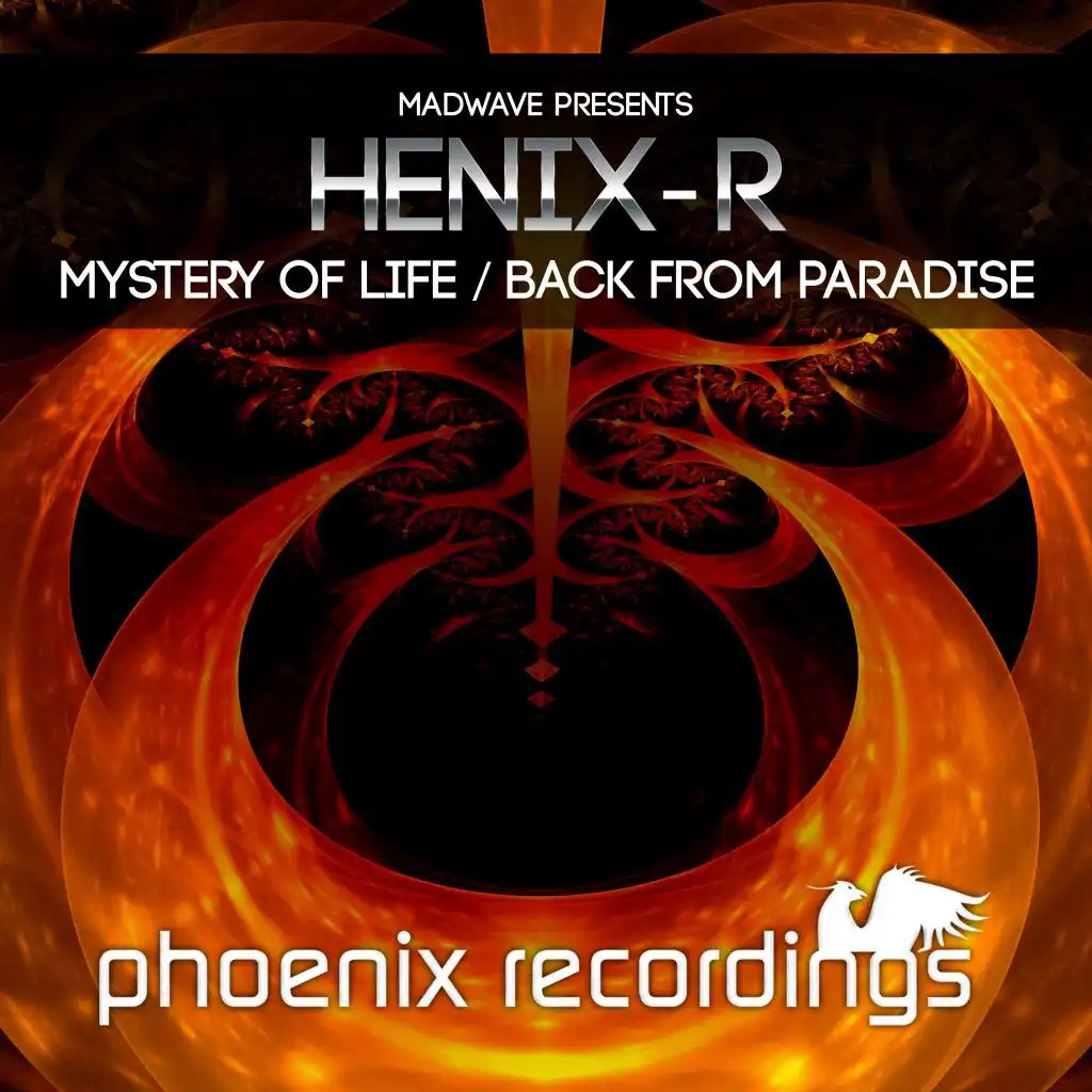 Mystery of Life (Extended Mix)