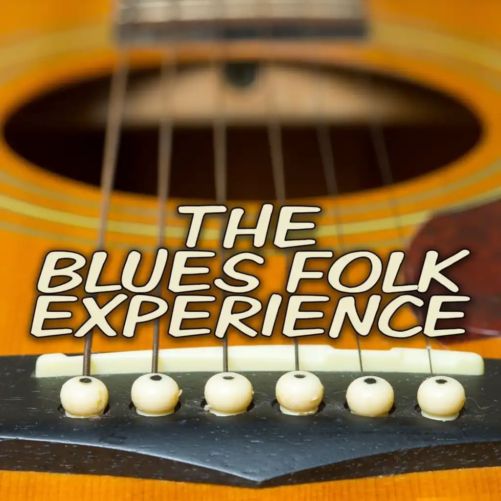 The Blues Folk Experience