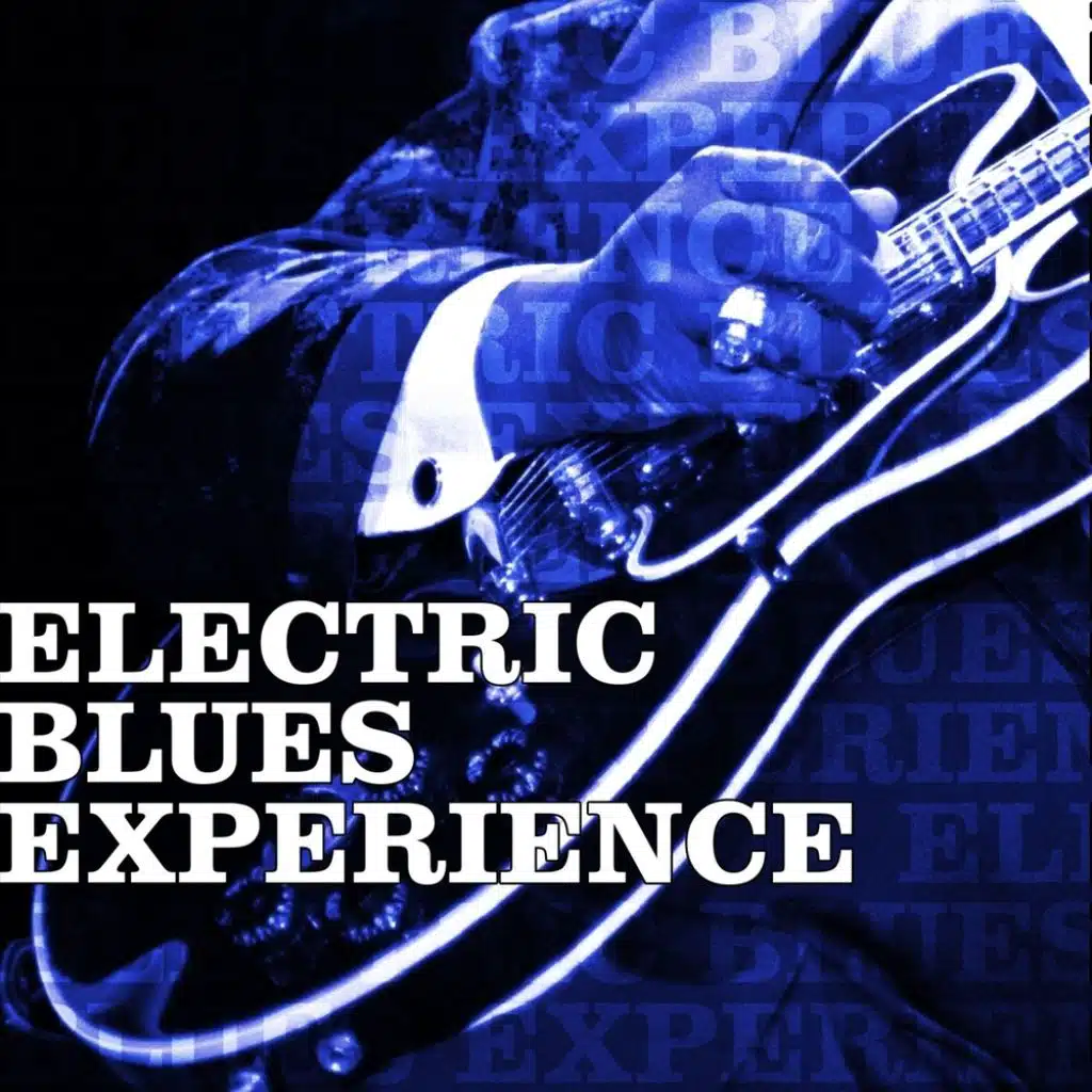 Electric Blues Experience