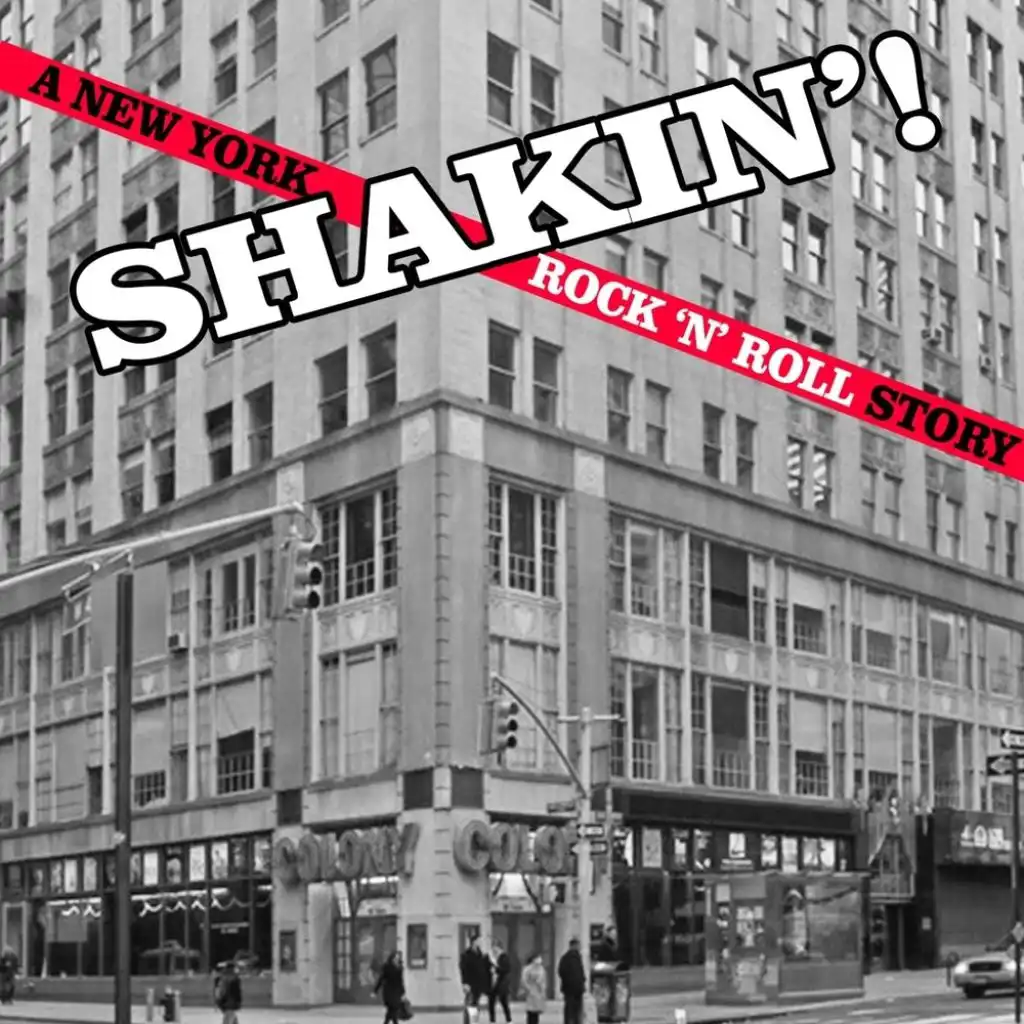 Shakin': A New York Rock 'n' Roll Story