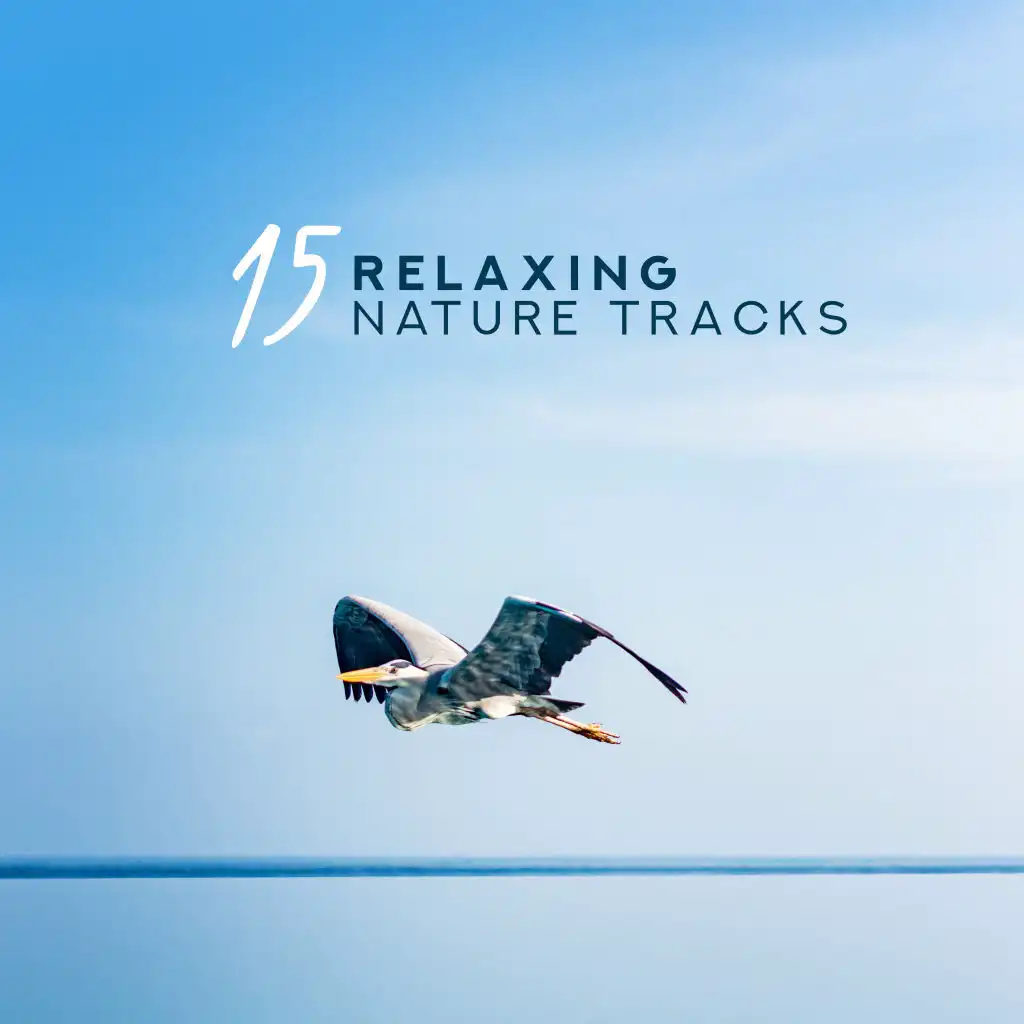 15 Relaxing Nature Tracks: Soothing Music, Nature Sounds, Relax Day & Night