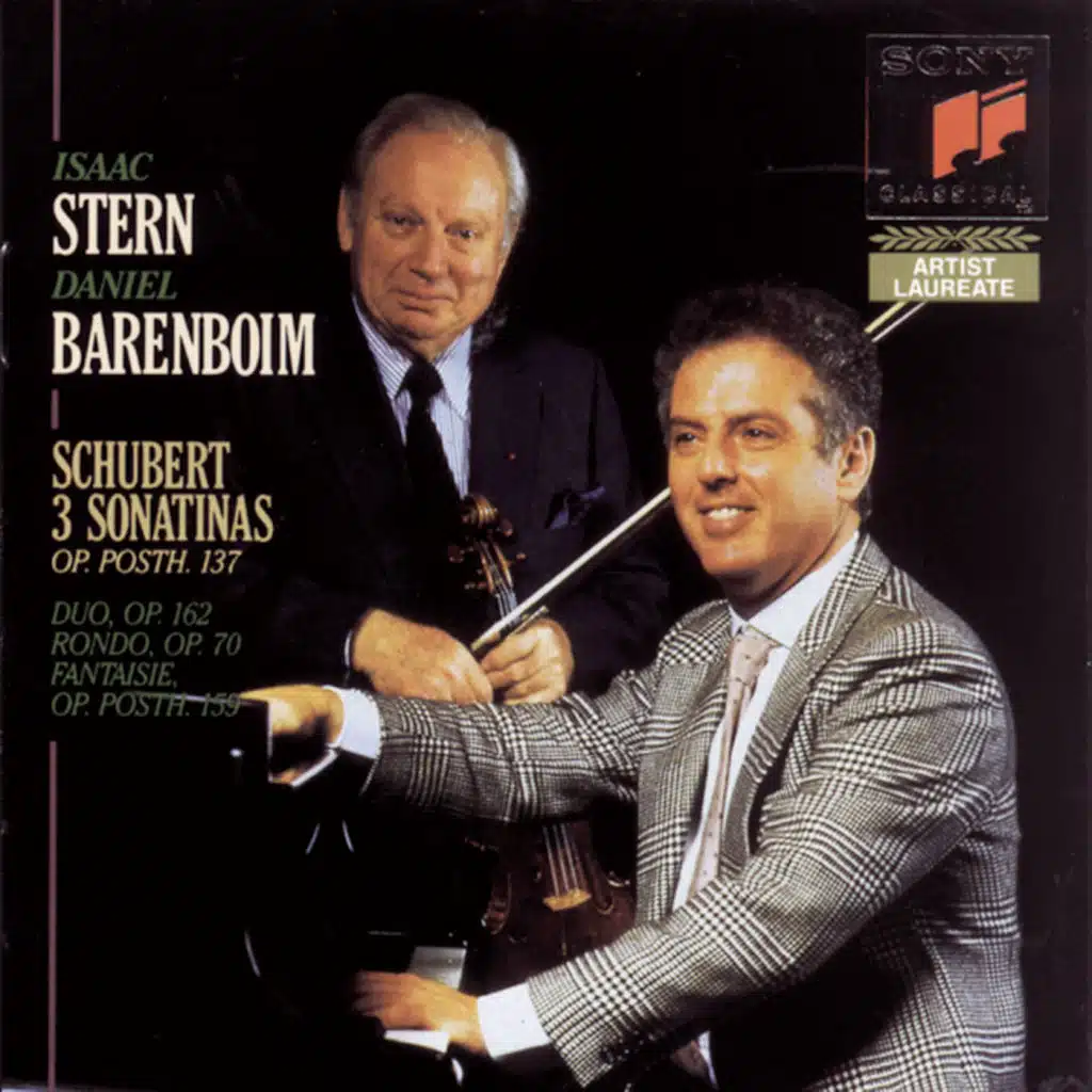 Violin Sonata in G Minor, Op. 137 No. 3, D. 408: III. Menuetto