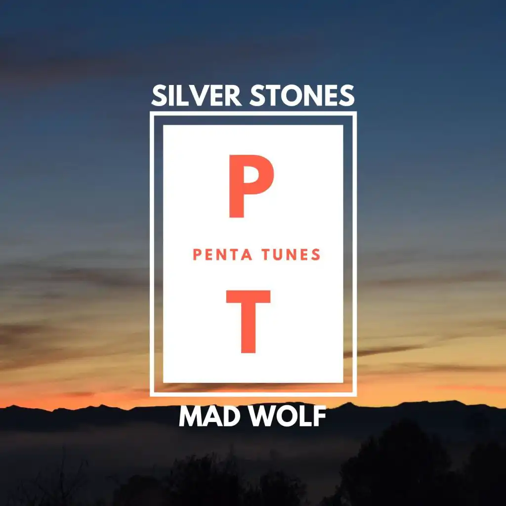 Silver Stones