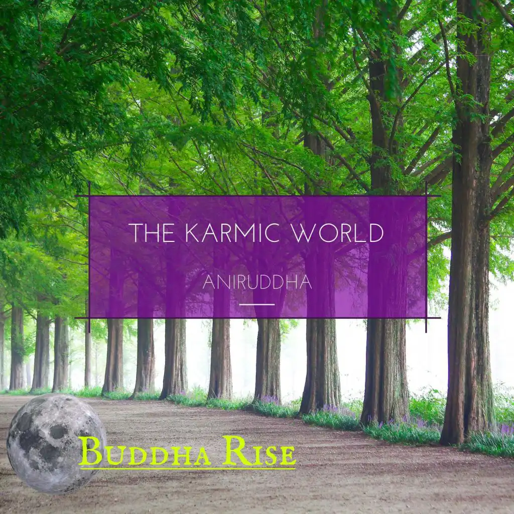 The Karmic World