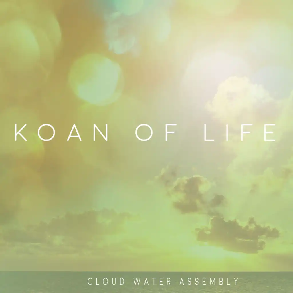 Koan Of Life