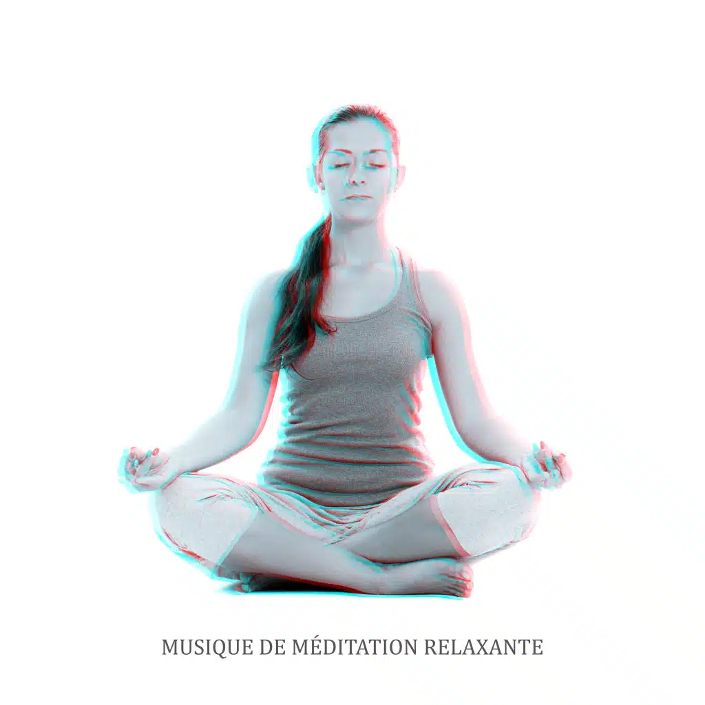 Musique de Méditation Relaxante: 15 Chants pour la Méditation, le Zen, les Exercices de Yoga