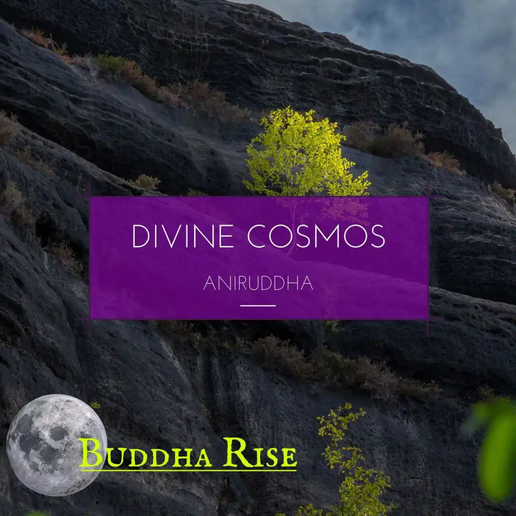 Divine Cosmos