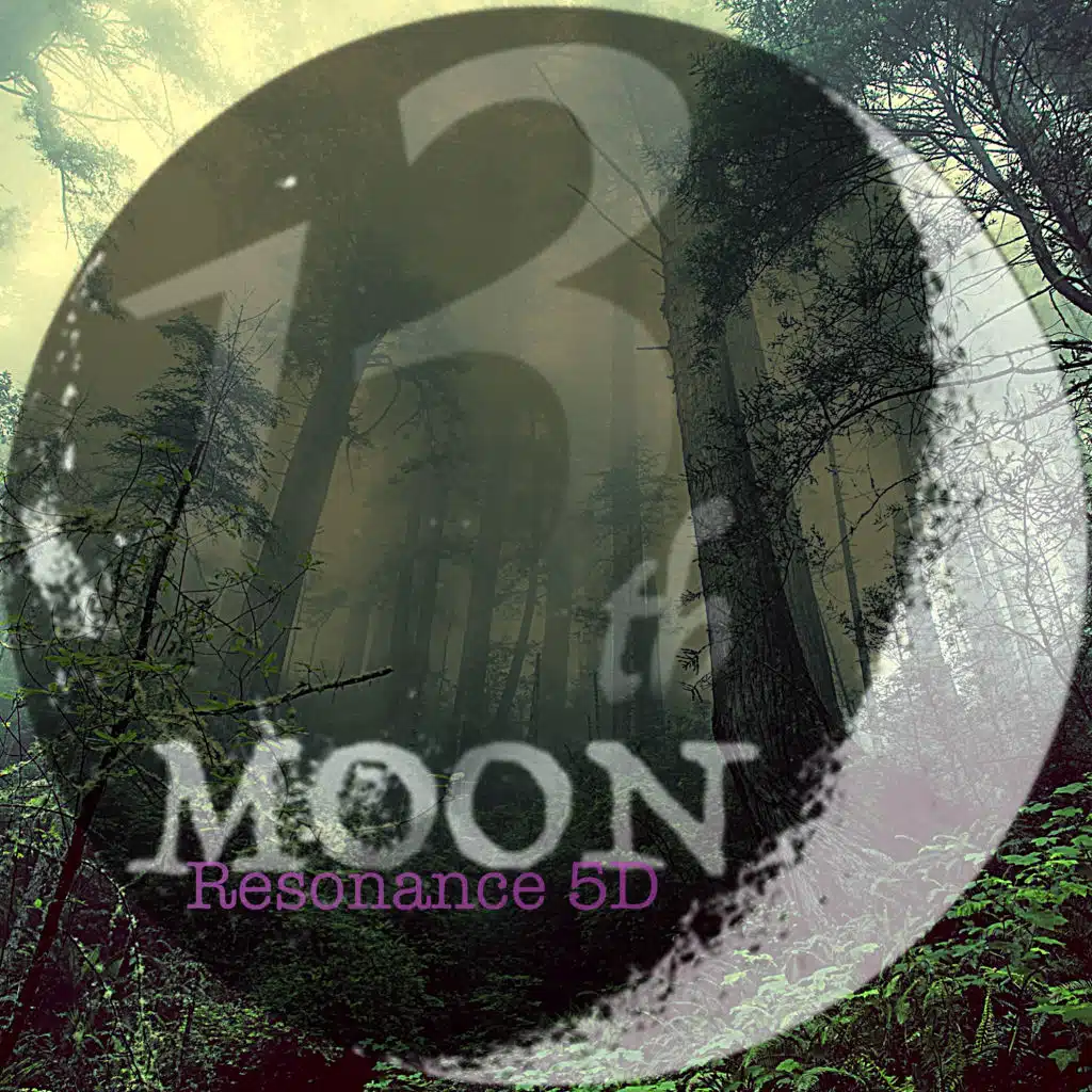 Resonance (13th. moon 5D Versions) [feat. 13th moon]