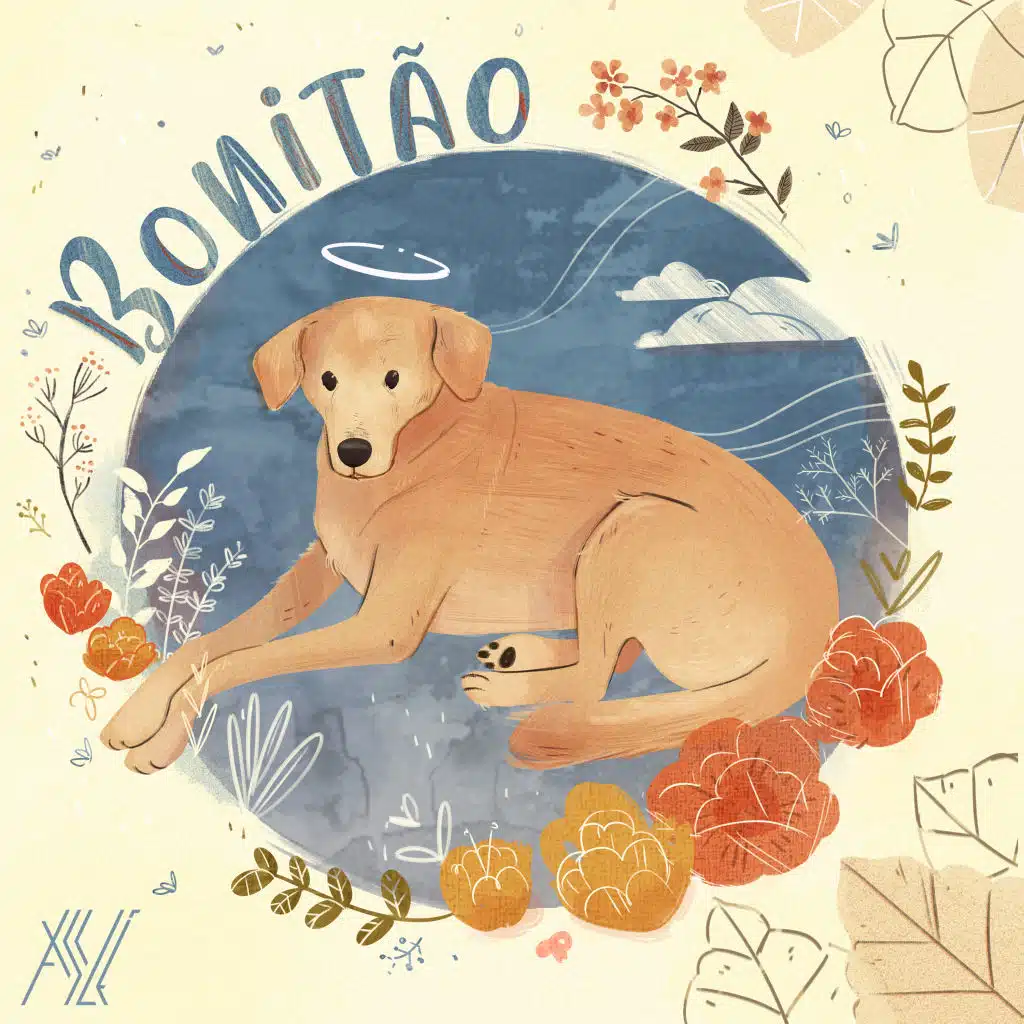 Bonitão
