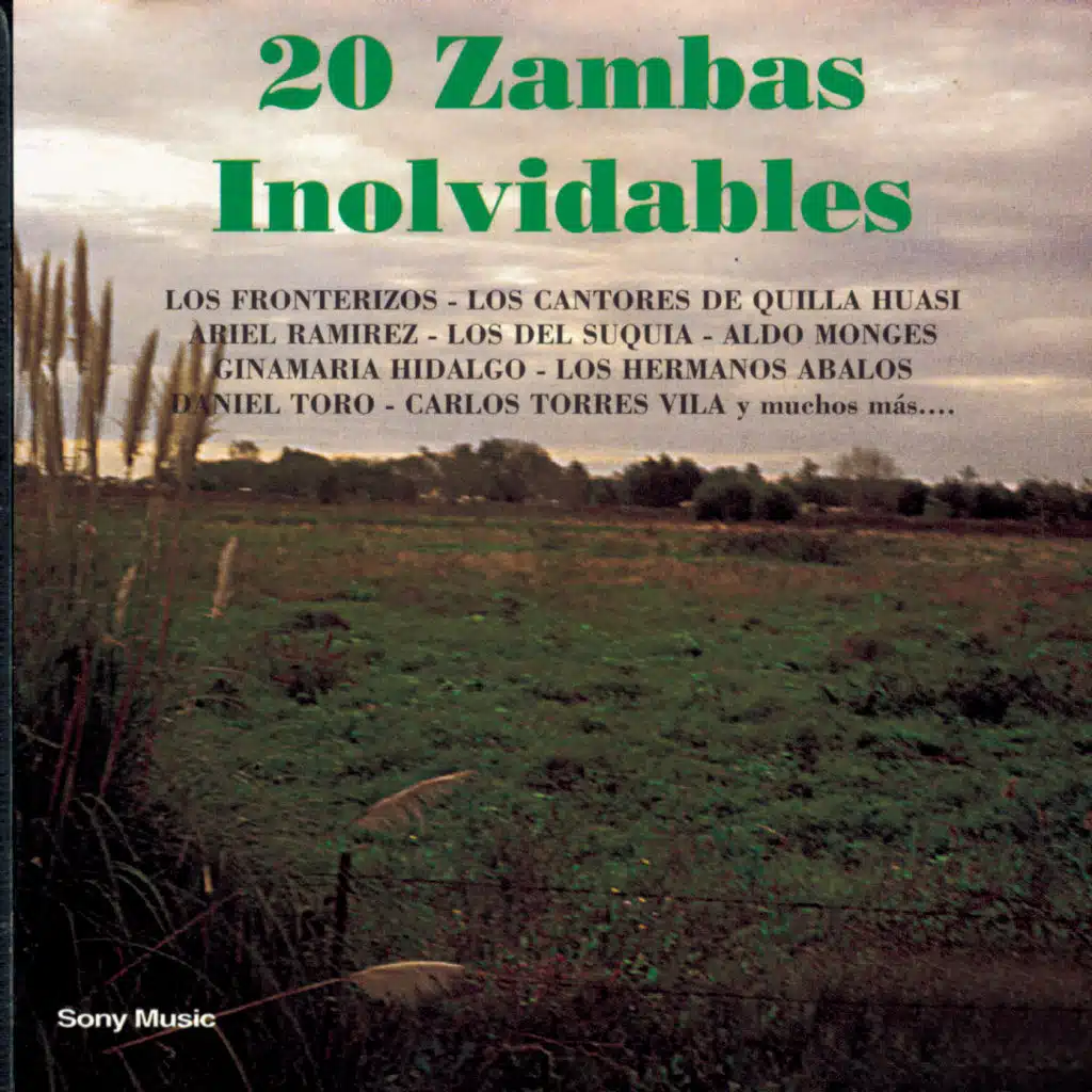 Zambita Del Musiquero