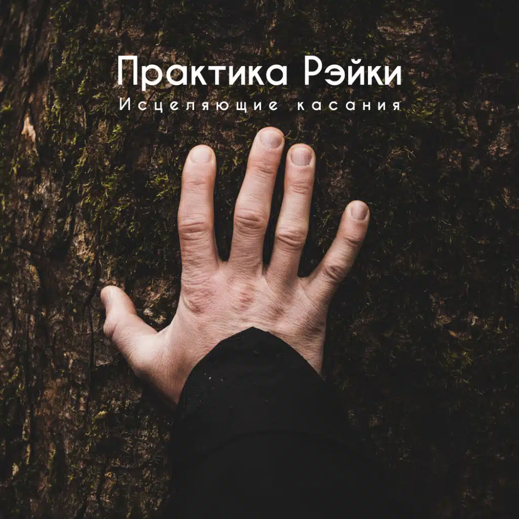 Концентрация на цели