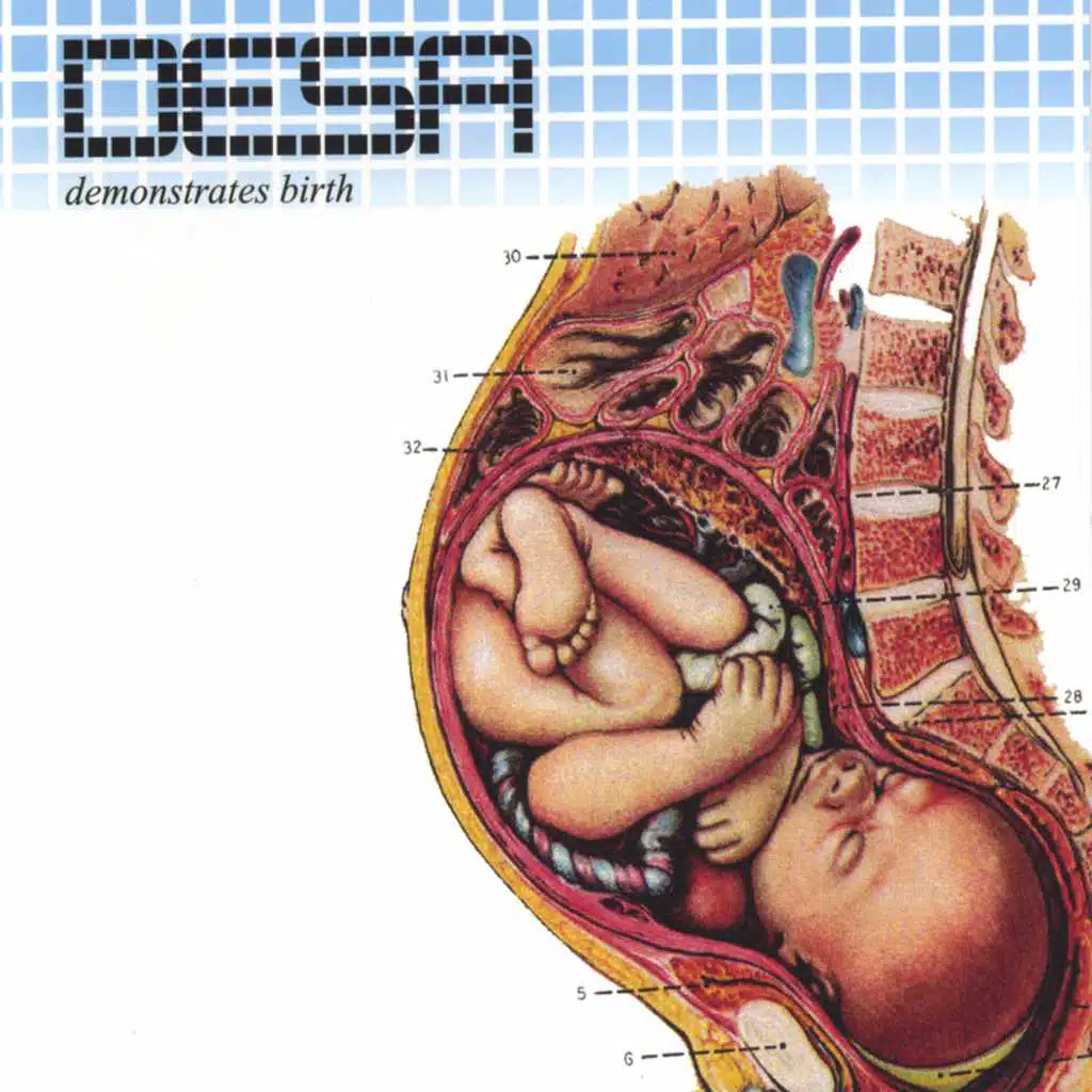 Demonstrates Birth
