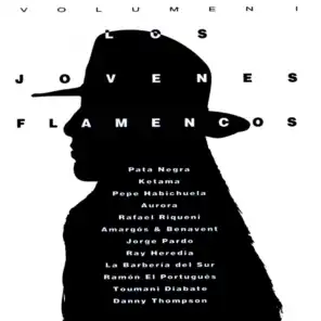 Los Jóvenes Flamencos, Vol. 1
