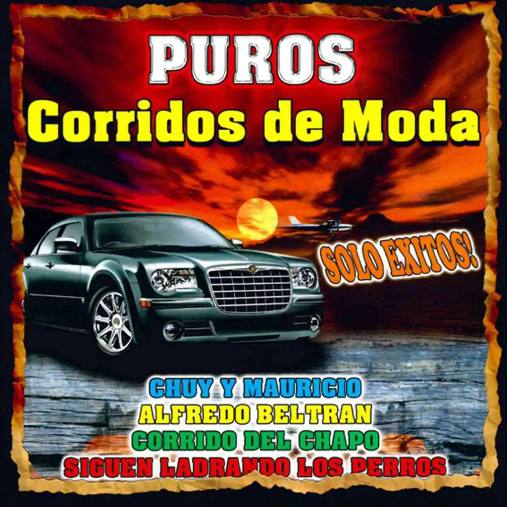 Puros Corridos de Moda, Solo Exitos