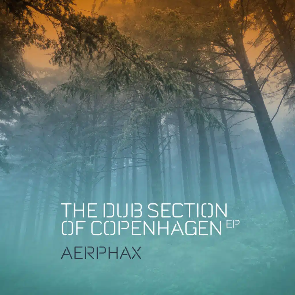 The Dub Section of Copenhagen