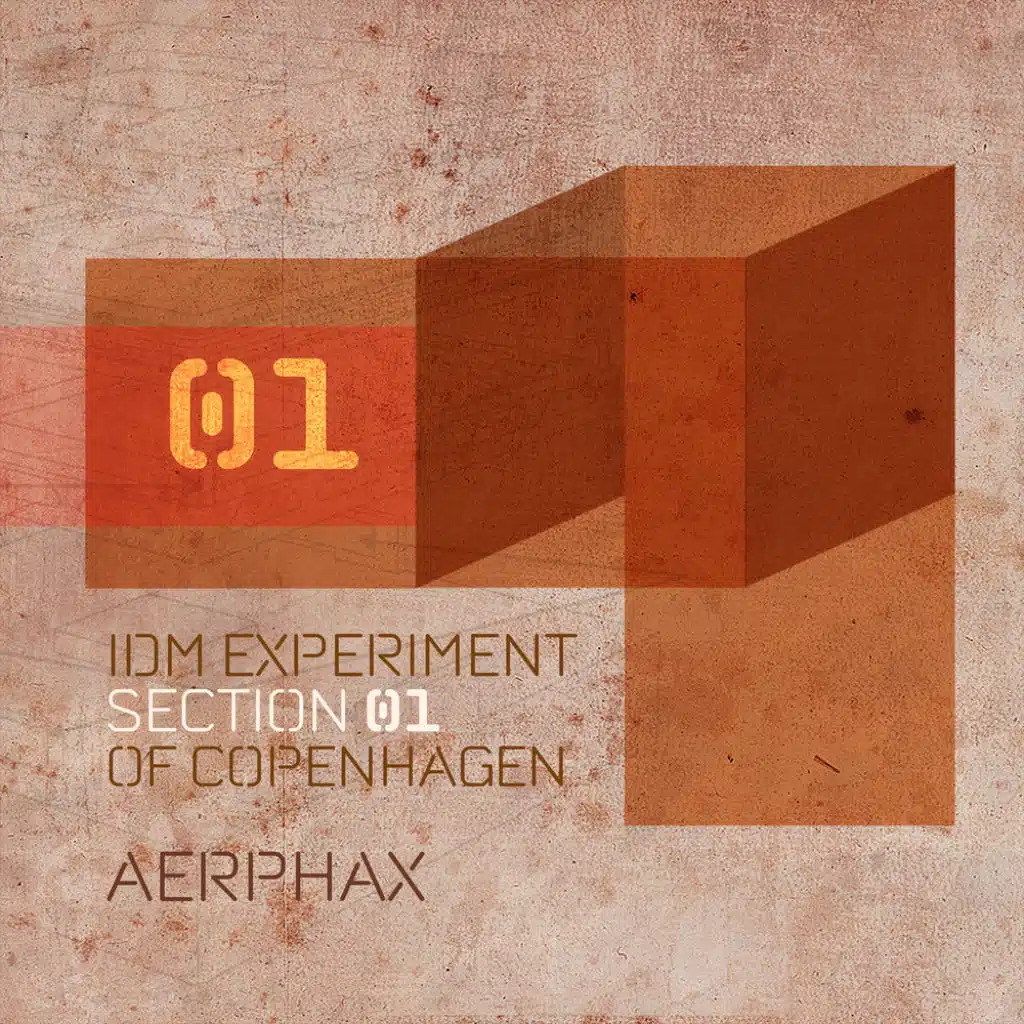 I.D.M. Experiment Section 01 of Copenhagen