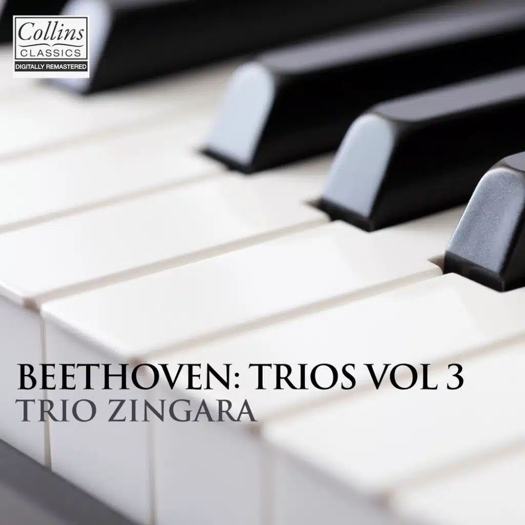 Piano Trio in C minor, Op.1 No.3: IV. Finale prestissimo
