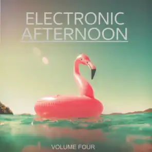 Electronic Afternoon, Vol. 4