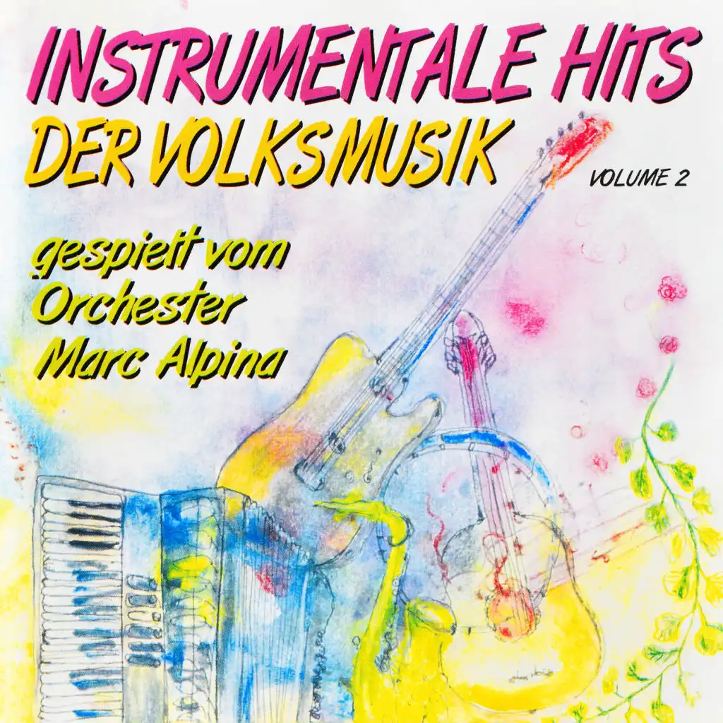 Instrumentale Hits der Volksmusik, Vol. 2