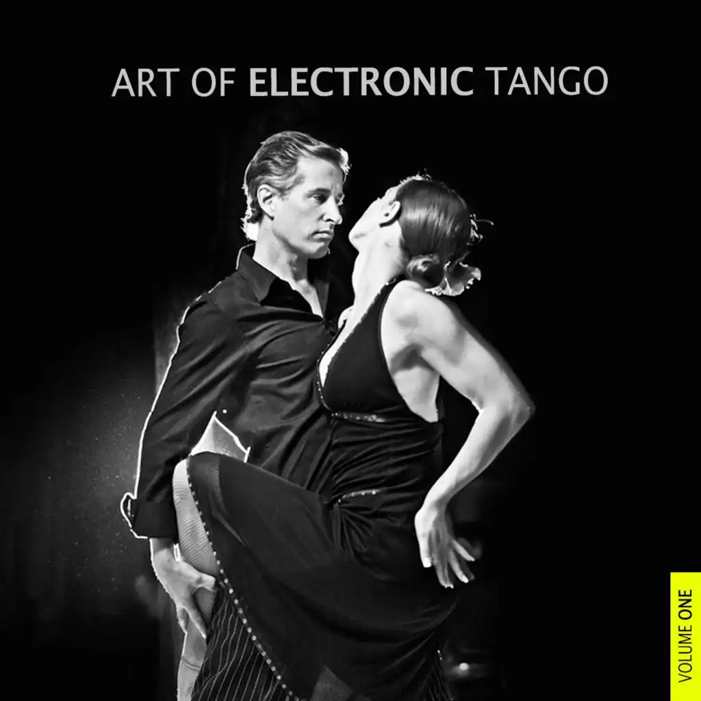 Art of Electronic Tango, Vol. 1