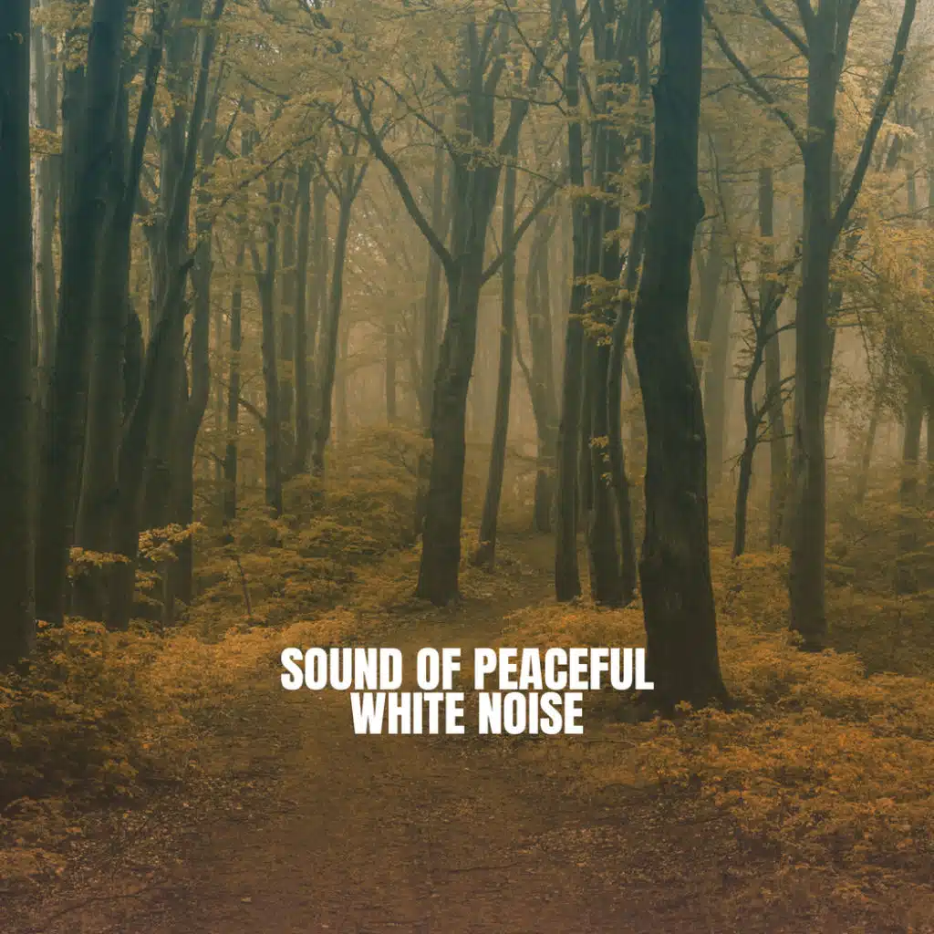 Rain Sounds & White Noise, Meditation Rain Sounds and Rain