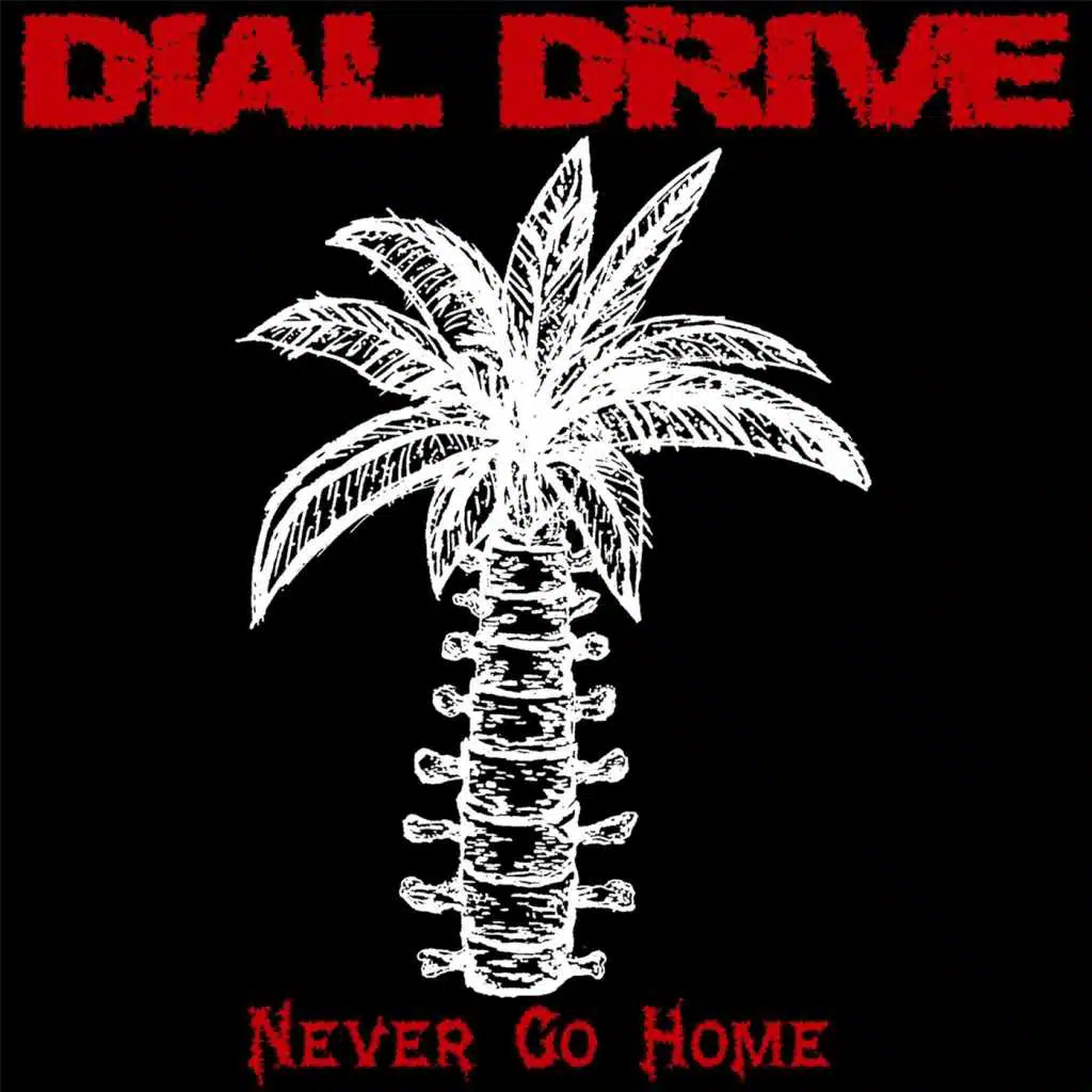 Never Go Home