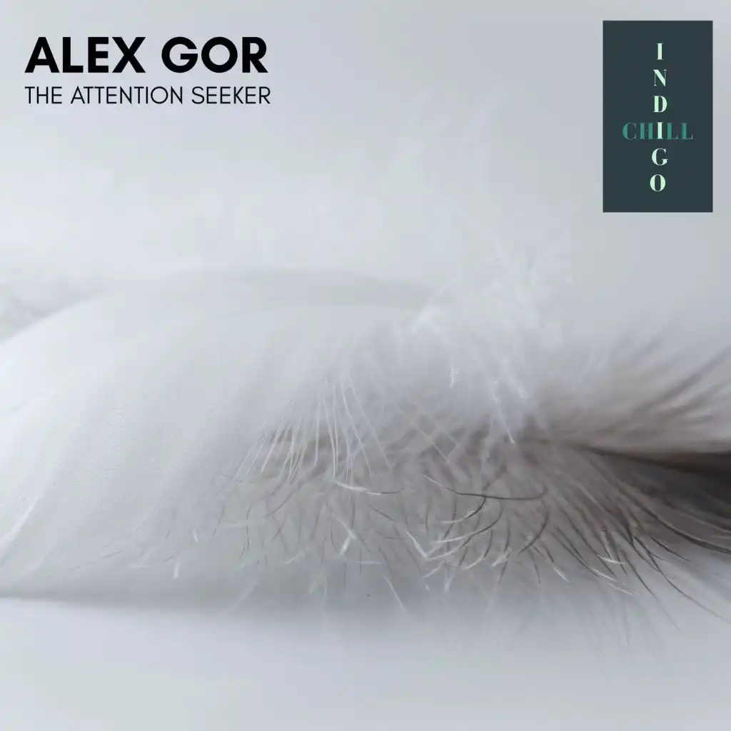 The Attention Seeker