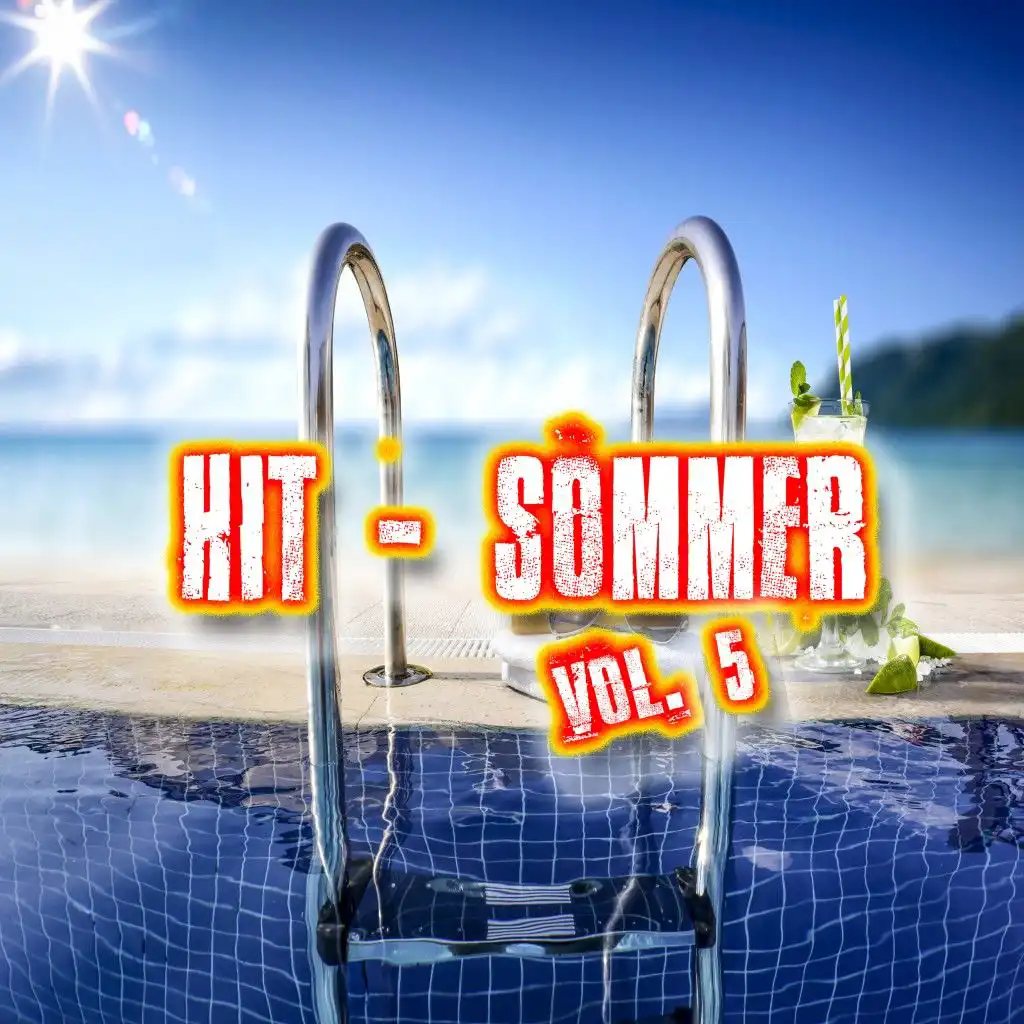 Hit-Sommer, Vol. 5