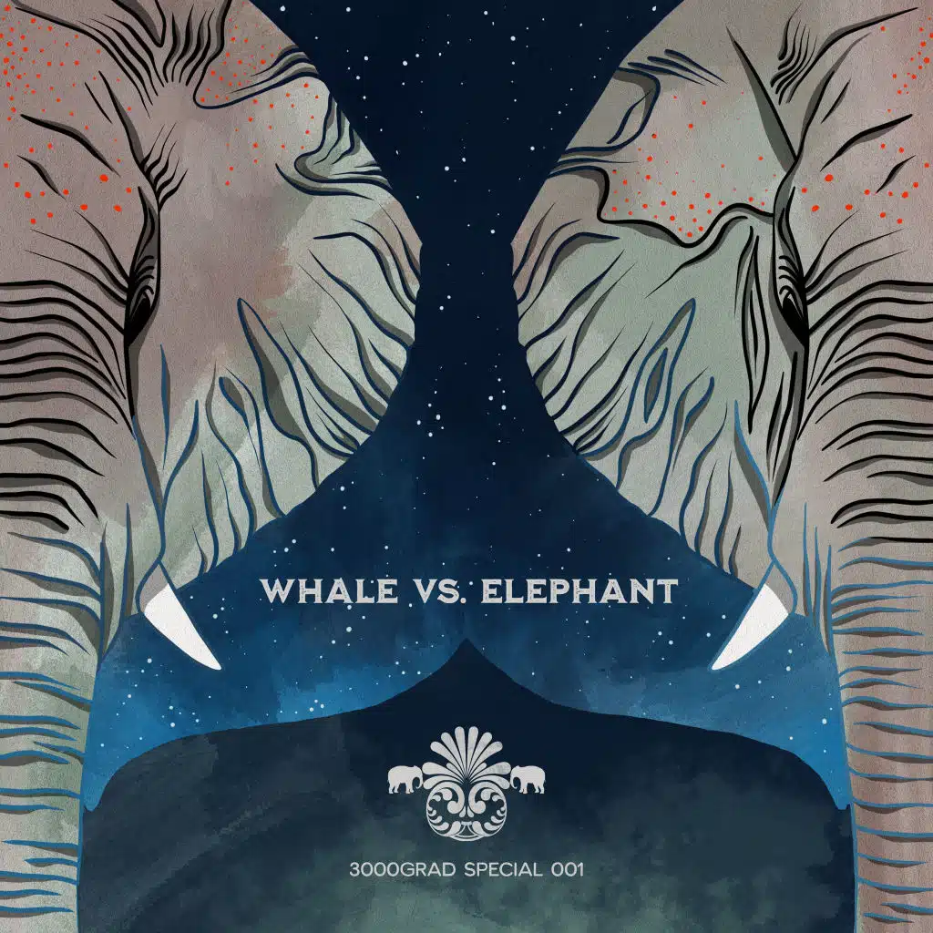 Whale vs. Elephant