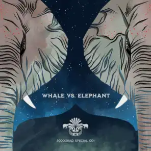 Whale vs. Elephant