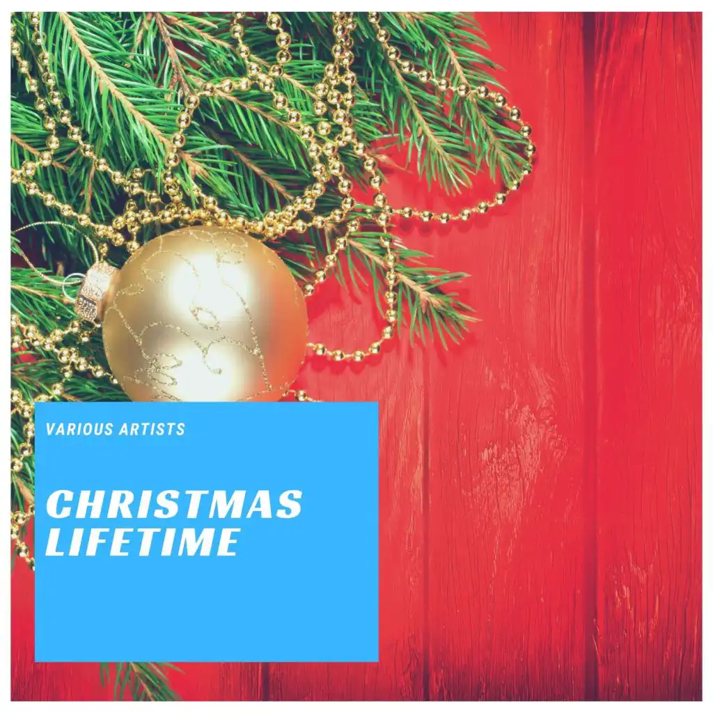 Christmas LIfetime