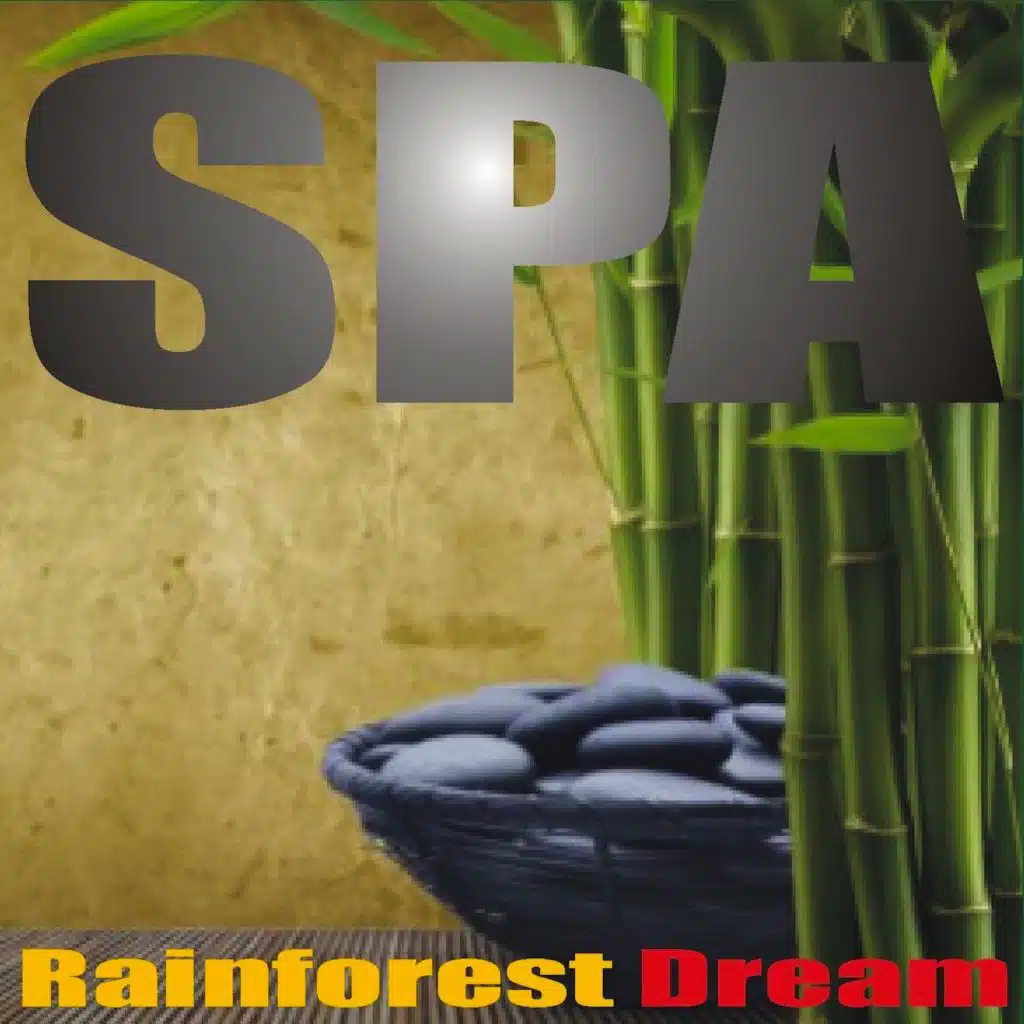 Relaxing Rainforest Dream Ambient Spa