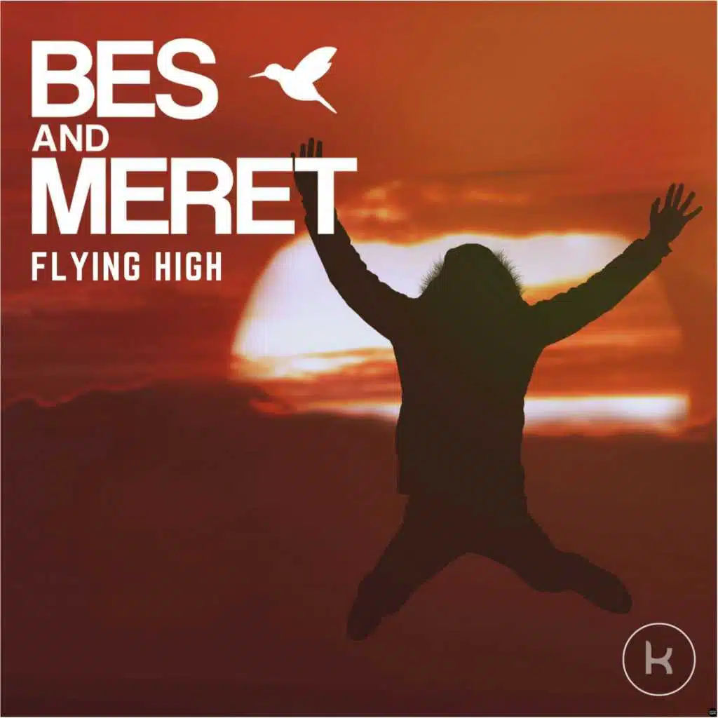Flying High (Matthias Freudmann Remix)