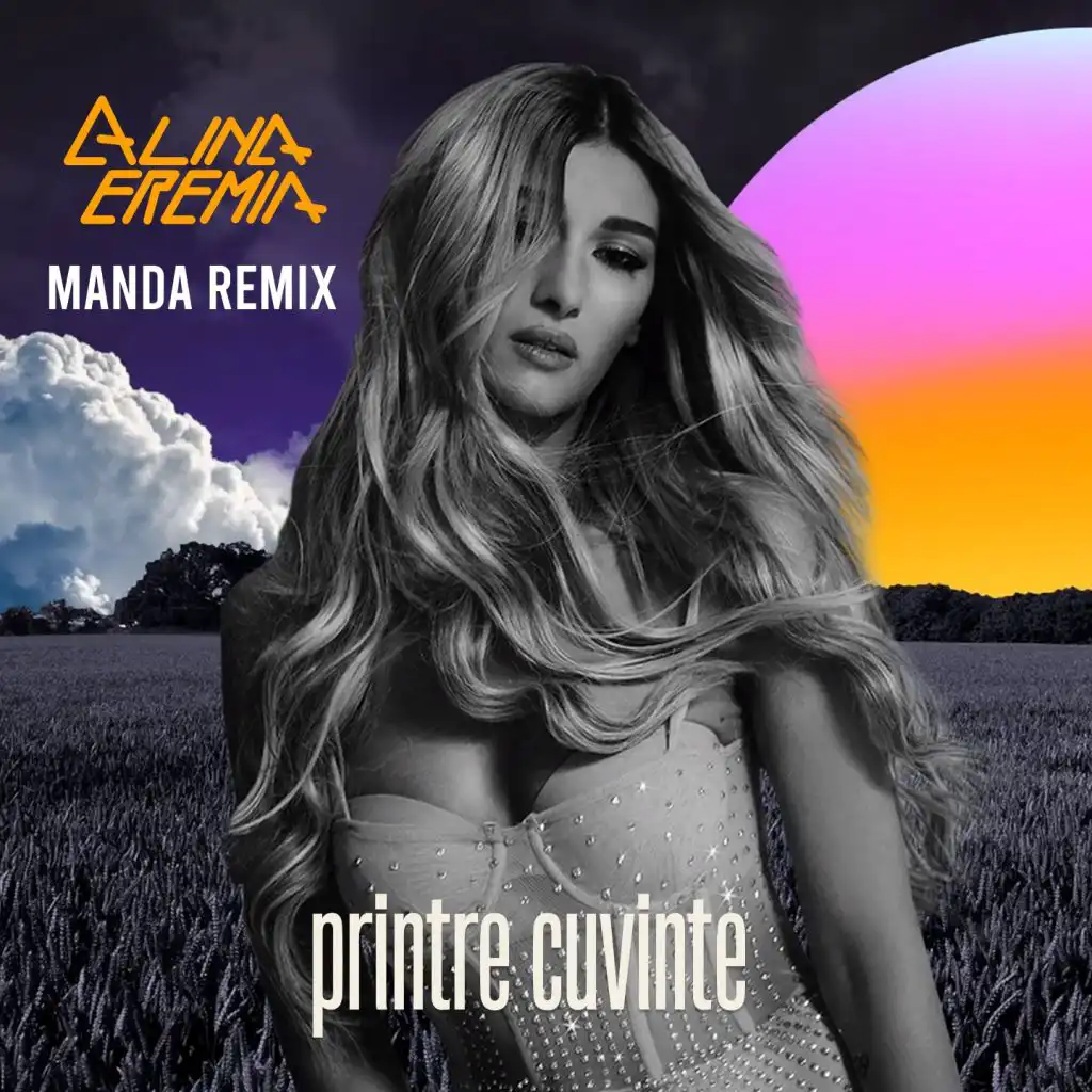 Printre Cuvinte (Manda Remix Extended Mix)